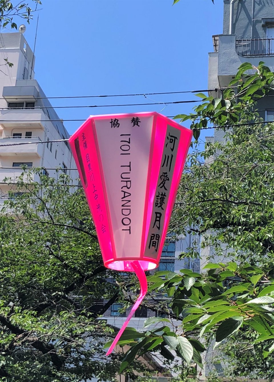 の画像
